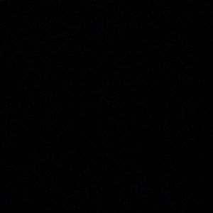 Meet your Posher, Dwight